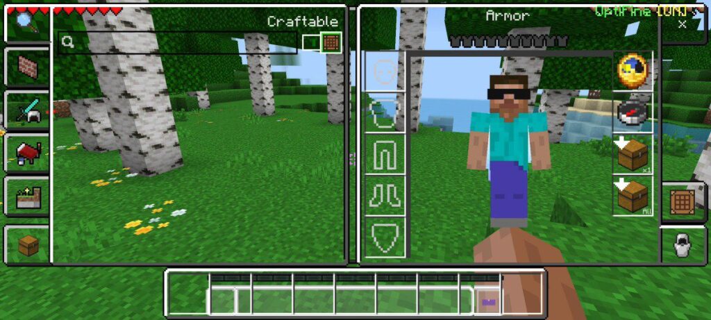 Optifine for bedrock features - Clean UI
