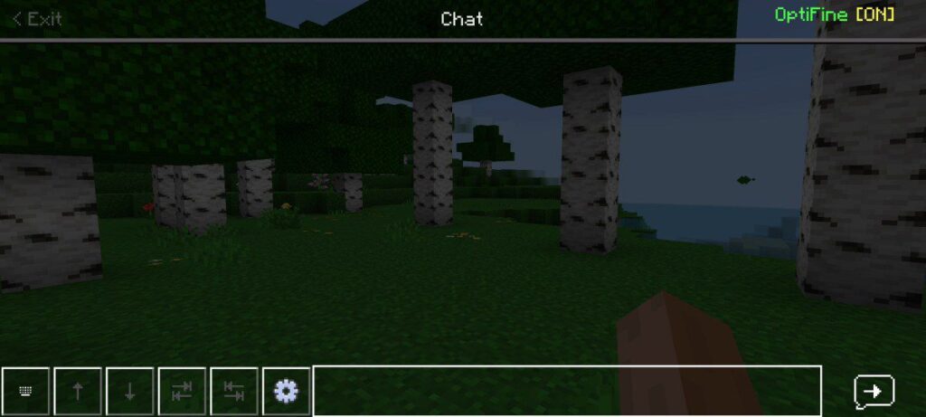 Optifine for bedrock features - Quick Chat