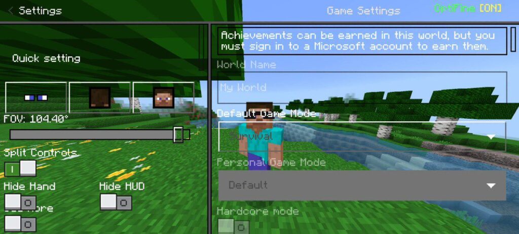 Optifine for bedrock features - Quick Settings