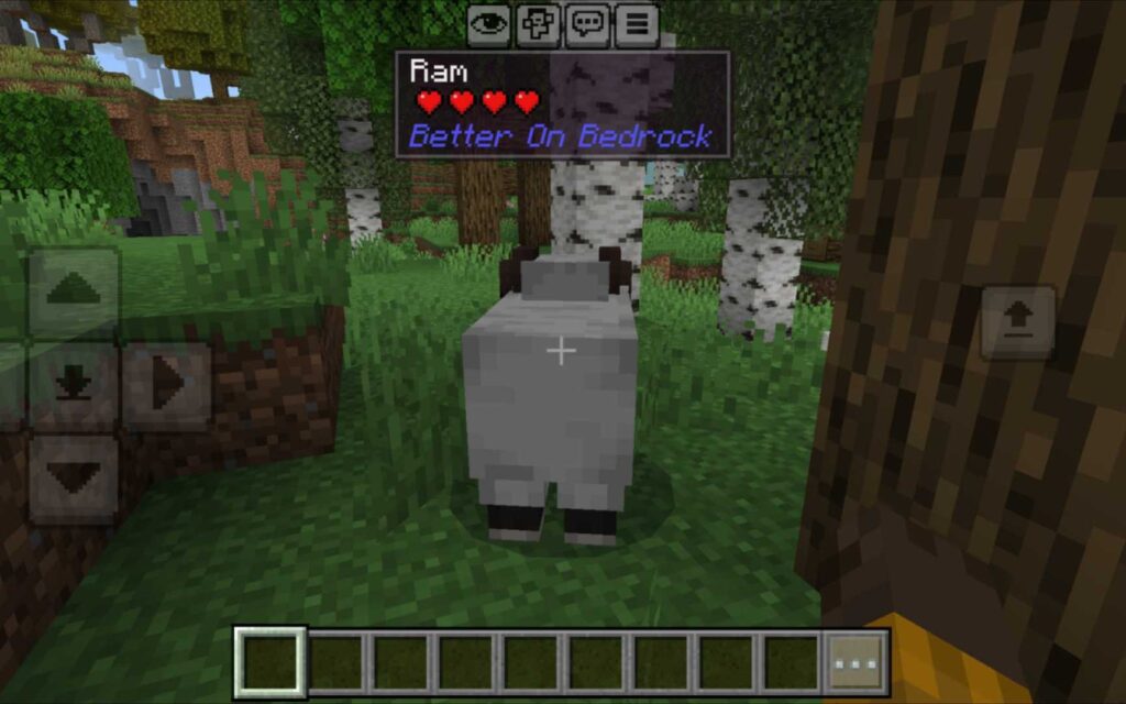 Info Tooltip in Better On Bedrock 