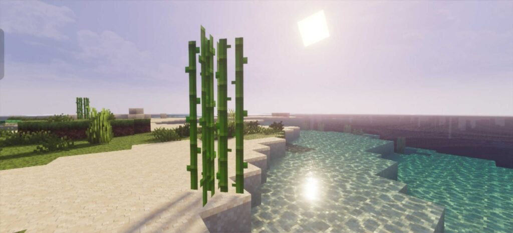 Prizma Visuals 