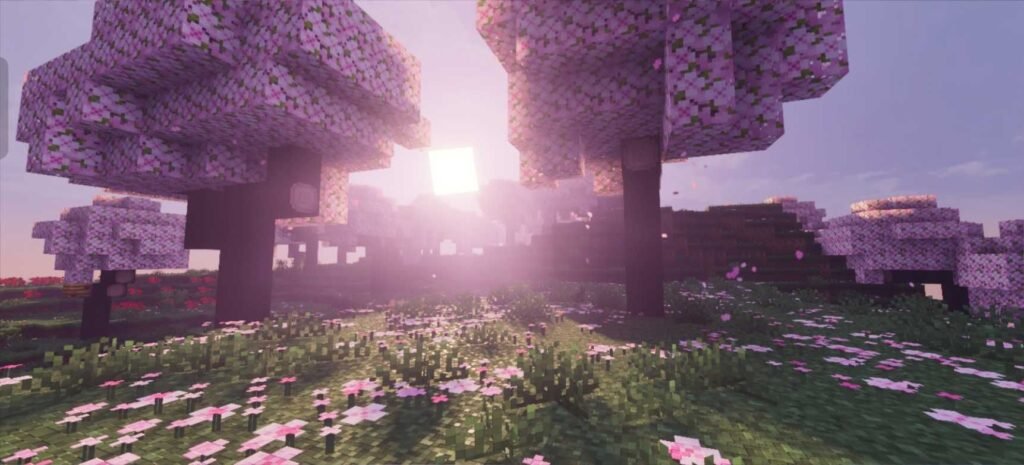 Vibrant Visuals packs