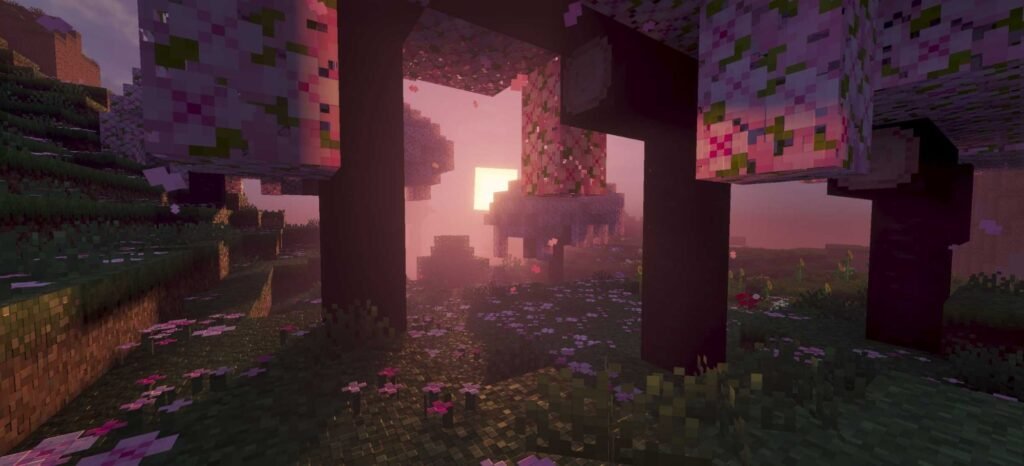 Prizma Visuals Vibrant Visuals