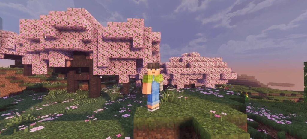 Prizma Visuals MCPE